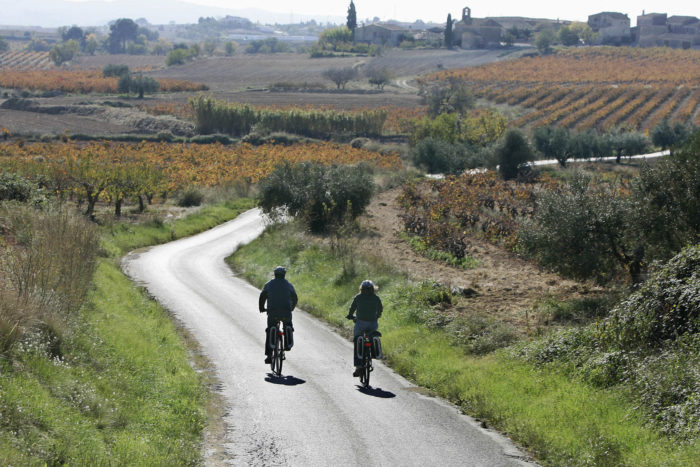 cycling penedes wine region in Spain