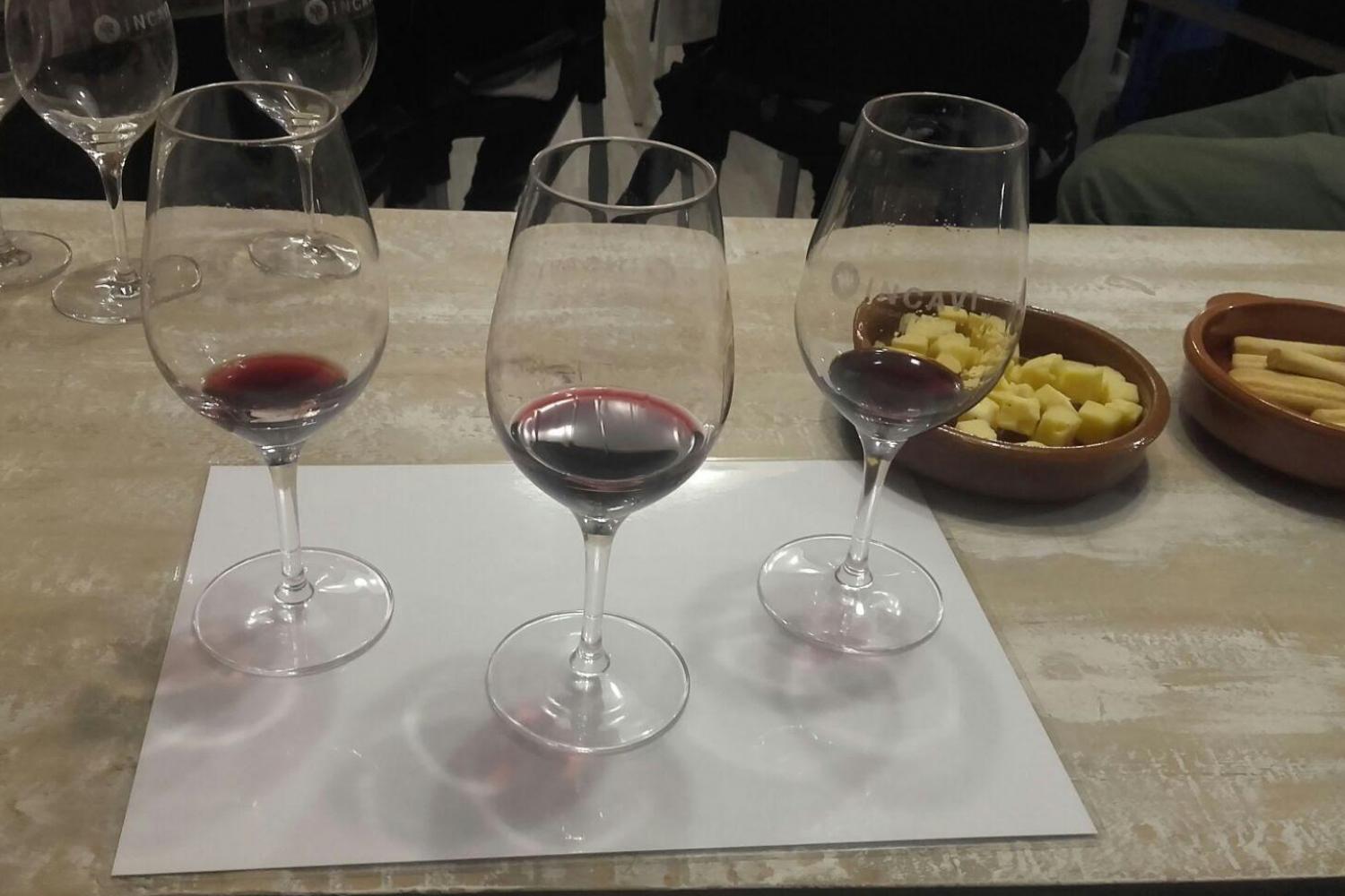wine tasting in barcelona